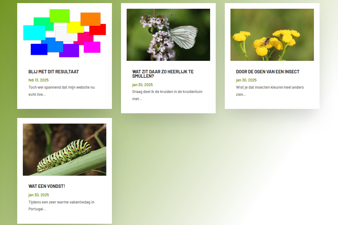 Blogpagina